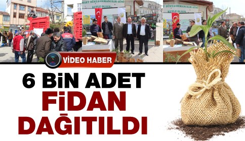 6 Bin Fidan Dağıtıldı