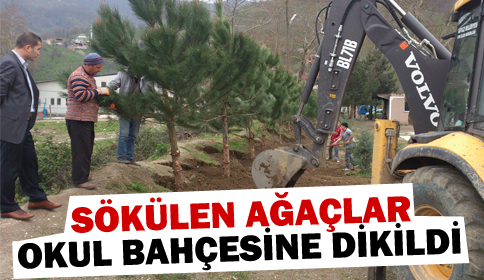 Ağaçlar Büyümeye Devam Edecek