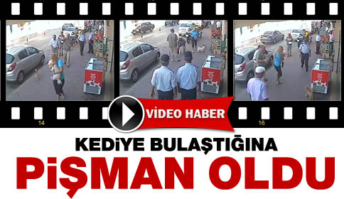 Anne Kediye Kafa Tutan Köpek Yaptığına Pişman oldu