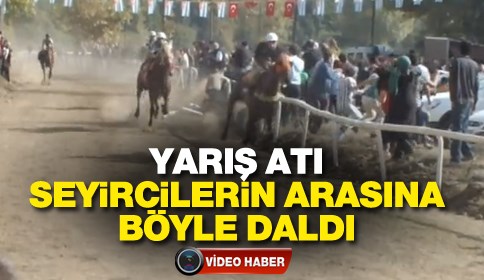 At’ın Seyirciler Arasına Dalış Anı