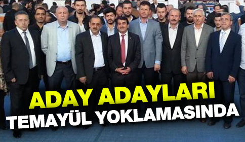 Akp’de Temayül Oylaması Yapıldı