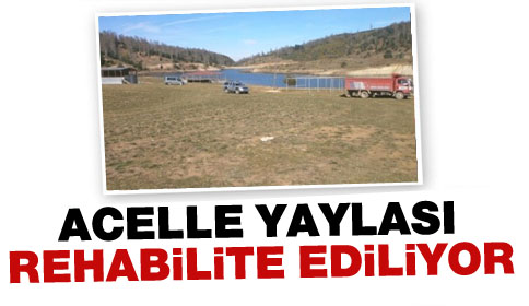 Acelle Yaylası Rehabilite Ediliyor