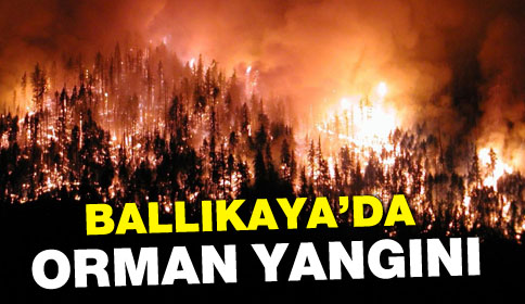 Bıkaya Köyünde Orman Yangını