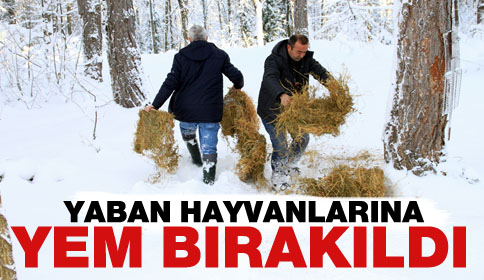 Yaban Hayvanlarına Yem Bırakıldı