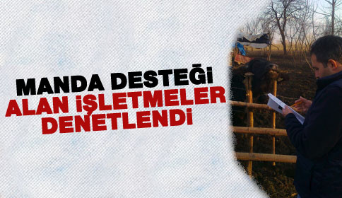 Manda Desteği Alan İşletmeler Denetlendi