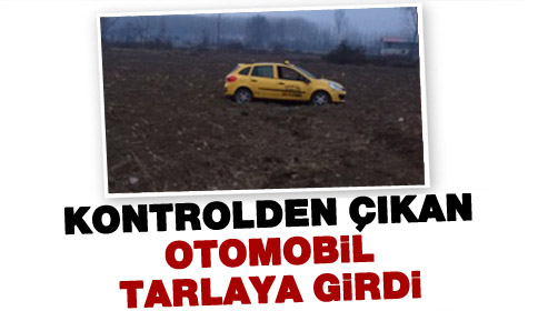 Otomobil Tarlaya Girdi
