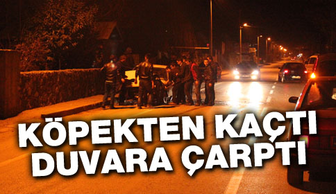 Köpekten Kaçtı Duvara Çarptı