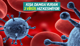 Kışa Damga Vuran 3 Virüs Hız Kesmiyor