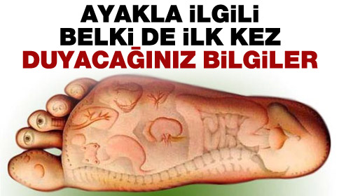 Ayakla ilgili belki de ilk kez duyacağınız bilgiler