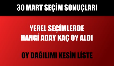 Akyazı Belediyesi 2014 Yerel Seçim Sonuçları 