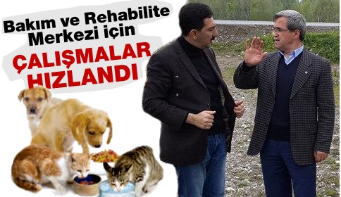 Hayvan Bakım, Tedavi Merkezi İçin Çalışmalar Sürüyor.