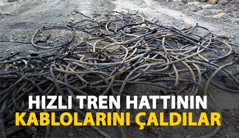 Hızlı Tren Hattının Kablolarını Çaldılar