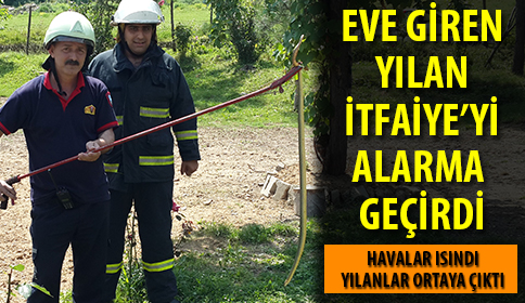 Eve Giren Yılan Korkuttu.