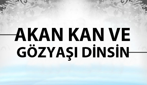 Akyazı Adalet ve Özgürlükler Platformu 386.basın açıklaması