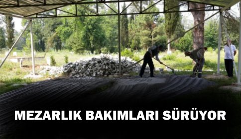 MEZARLIK BAKIMLARI DEVAM EDİYOR...
