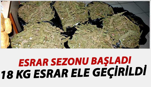 Esrar Sezonu Başladı  18 Kg Esrar Ele Geçirildi