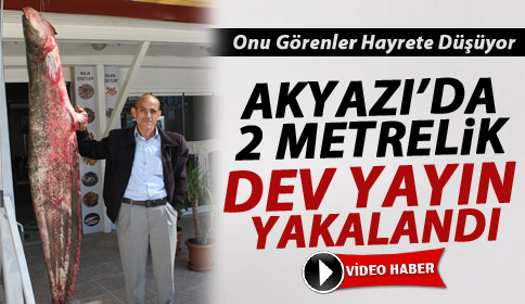 2 Metrelik Yayın Balığı Yakalandı