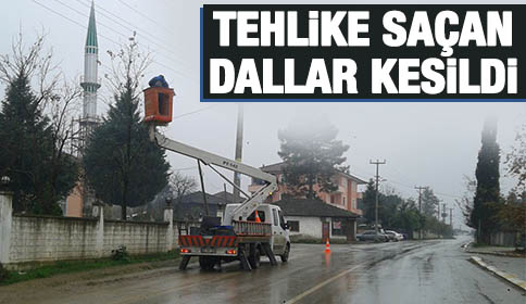 Tehlike Saçan Darı Kestiler