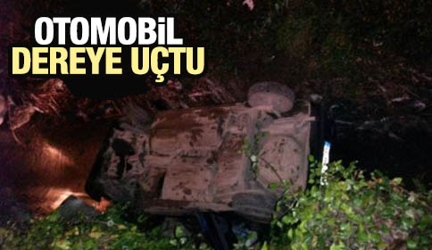 Araç Dere Yatağına Uçtu