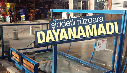 Durak Şiddetli Rüzgara Dayanamadı