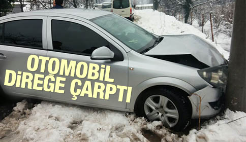 Otomobil Direğe Çarptı