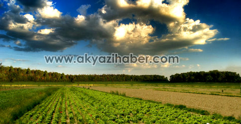 Tagep’te Sertifika Töreni