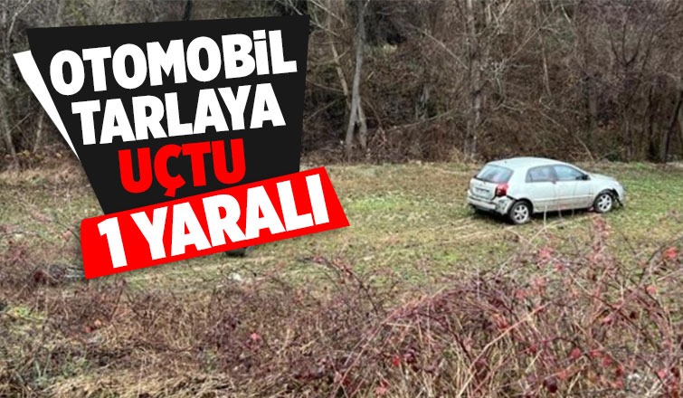 Mudurnu Akyazı yolunda kaza