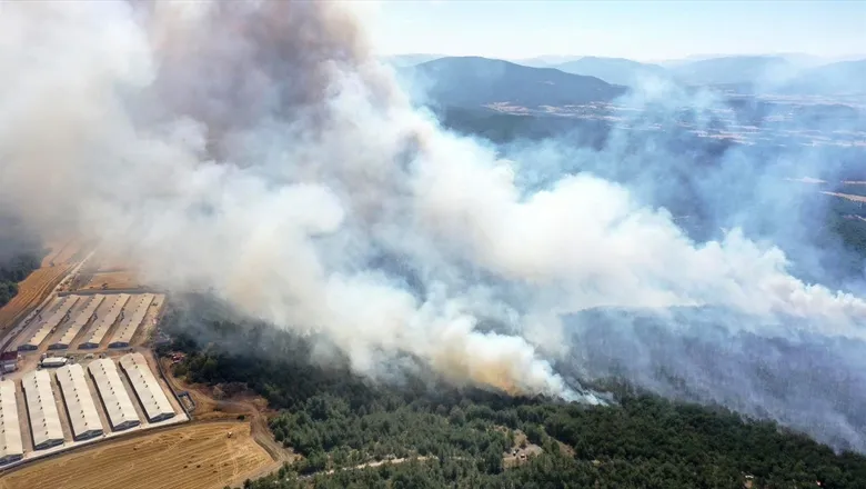 Mudurnu'da büyük orman yangını