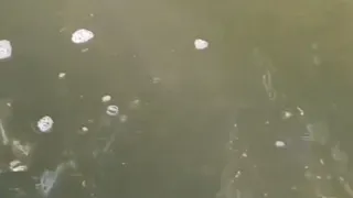 Mudurnu'da özlenen görüntü geri geldi