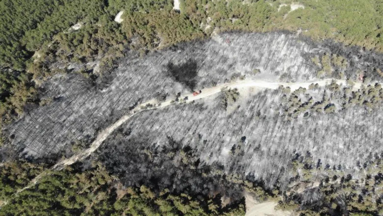 Mudurnu'daki orman yangını kontrol altına alındı