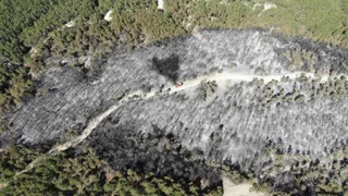 Mudurnu'daki orman yangını kontrol altına alındı