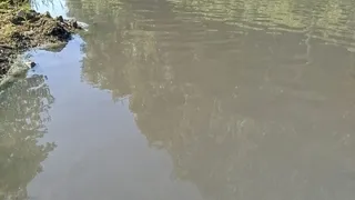 Mudurnu Deresi'nin rengi siyaha döndü