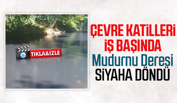 Mudurnu Deresi'nin rengi siyaha döndü