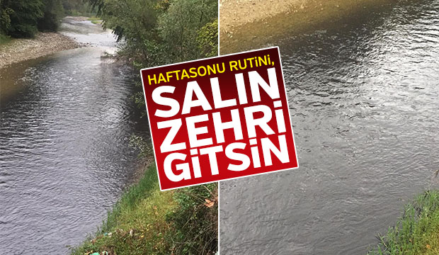 Mudurnu Deresinin Rengi Yine Siyaha Döndü