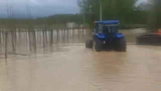 Mudurnu taştı, tarlalar ve yol sular altında kaldı