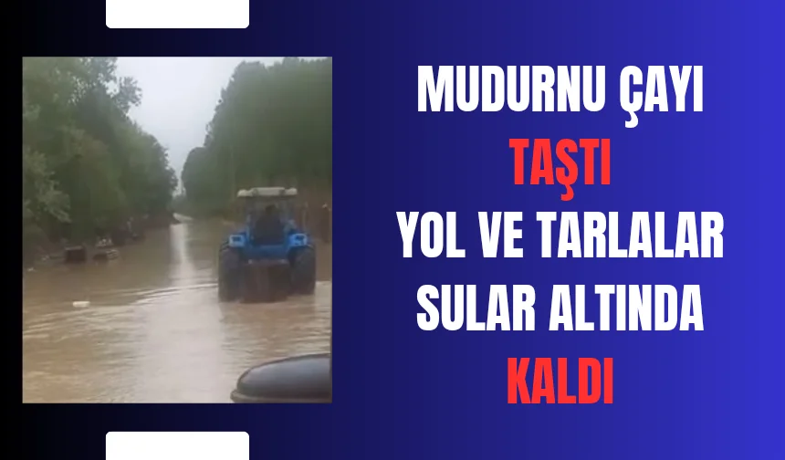 Mudurnu taştı, tarlalar ve yol sular altında kaldı