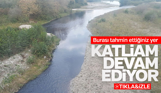 Mudurnuda çevre katliamı sürüyor