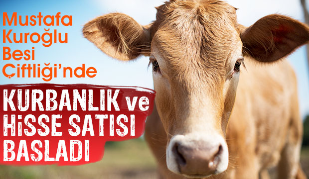 Mustafa Kuroğlu farkıyla Hisse ve Kurbanlık satışları başlamıştır