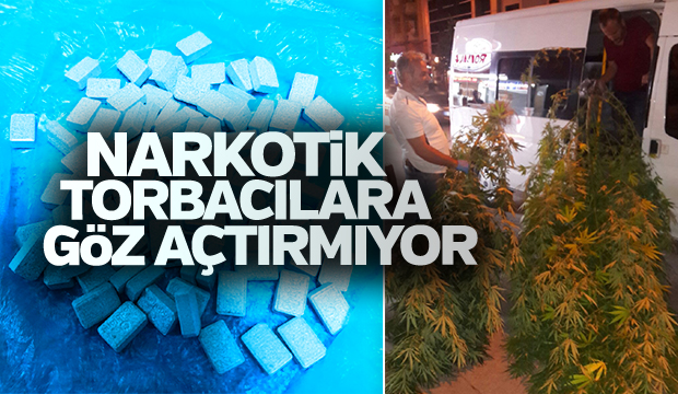 Narkotik ekiplerinden başarılı operasyonlar 