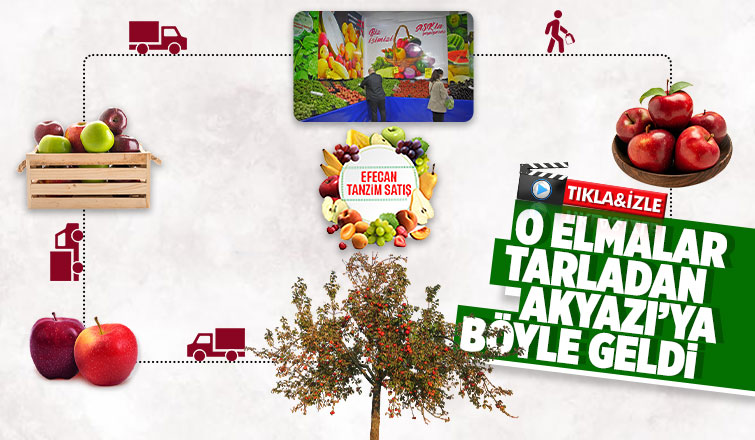o Elmalar Tarladan Akyazıya böyle geldi