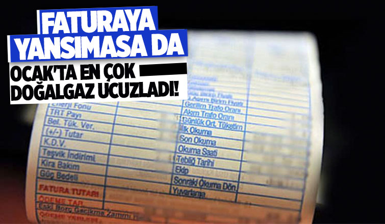 Ocak ayında en çok doğalgaz ucuzladı