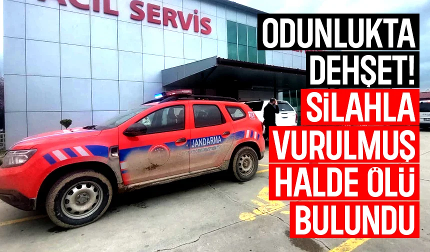 Odun almaya gidiyorum dedi, ölü bulundu