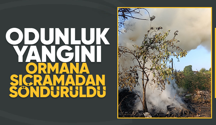 Odunluk kül oldu