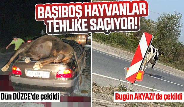 Ölüm kavşağında tehlike saçıyorlar