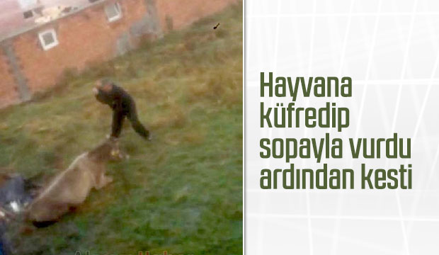 Önce sopayla vurup eziyet etti sonra kesti