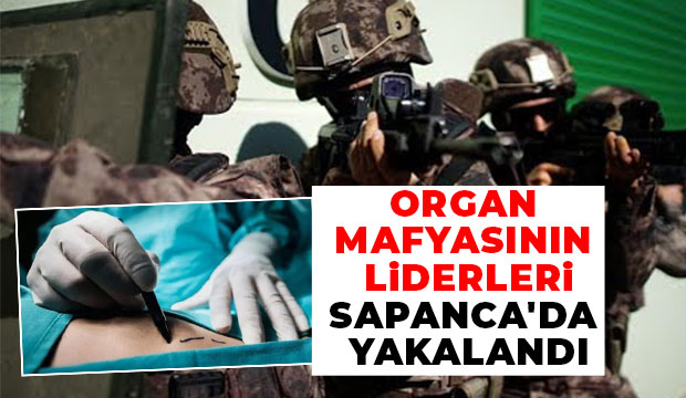 Organ mafyasına operasyon: Sapanca'da saklanmışlar