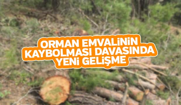 orman emvalinin kaybolması davasında yeni gelişme