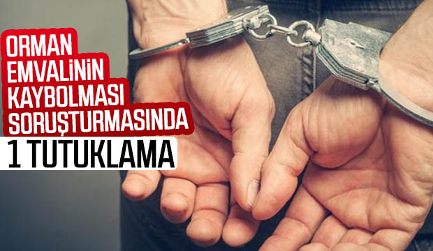 Orman emvalinin kaybolması soruşturmasında bir tutuklama