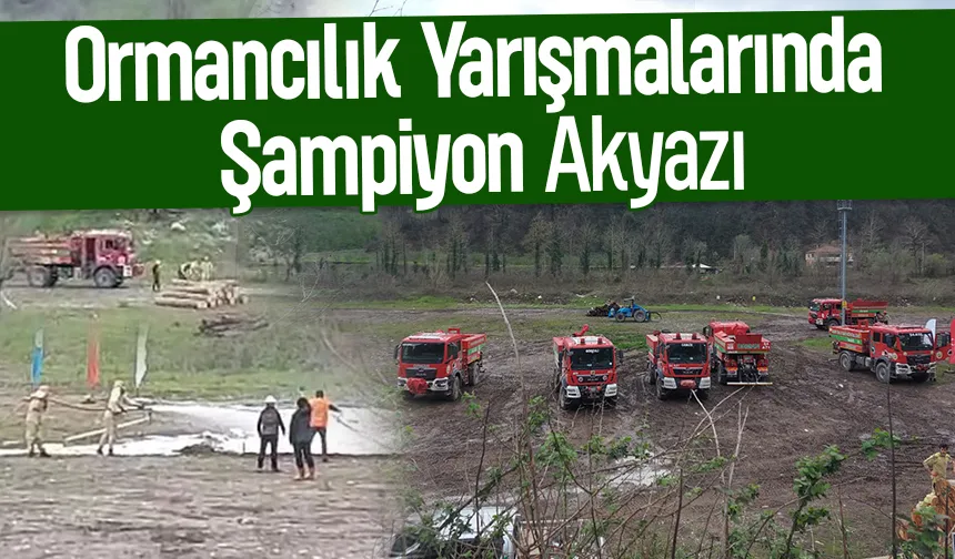 Orman kahramanları yarıştı, Kazanan Akyazı oldu