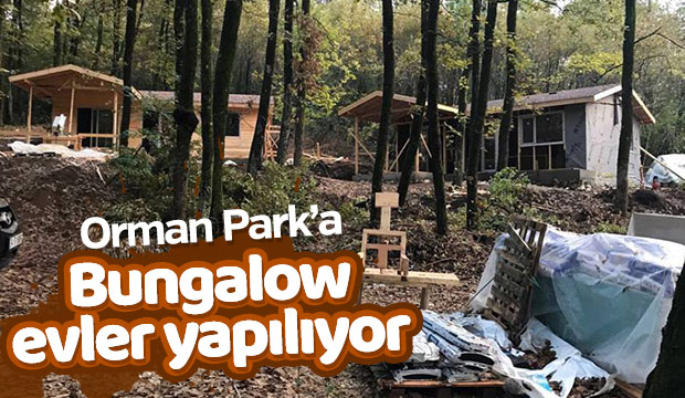 Orman Parka Bungalow Evler Yapılıyor